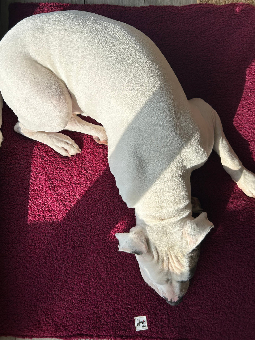 Colchoneta tipo topper