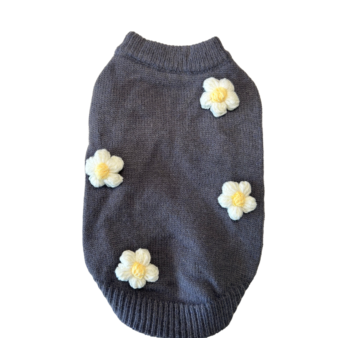 Sweater blooms