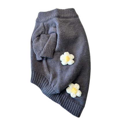 Sweater blooms