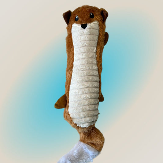 Ardilla chirriadora peluda